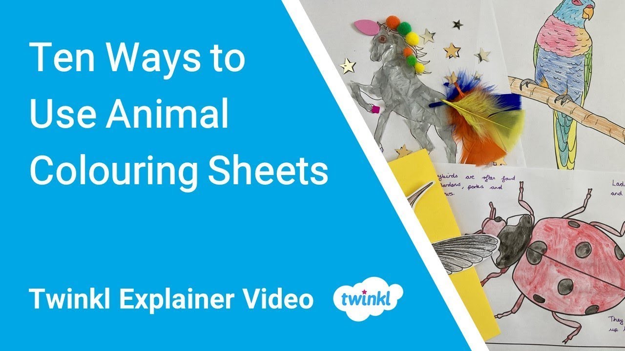Ten Ways to Use Animal Colouring Pages