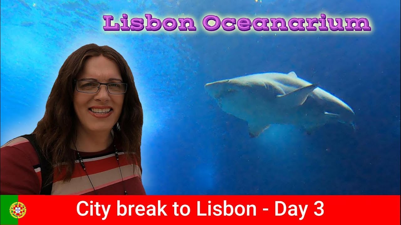 City break to Lisbon | Massive sharks in the Oceanarium