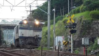 TX甲種【EF64 1010号機牽引】清見寺通過