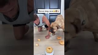 Donut dog race ?