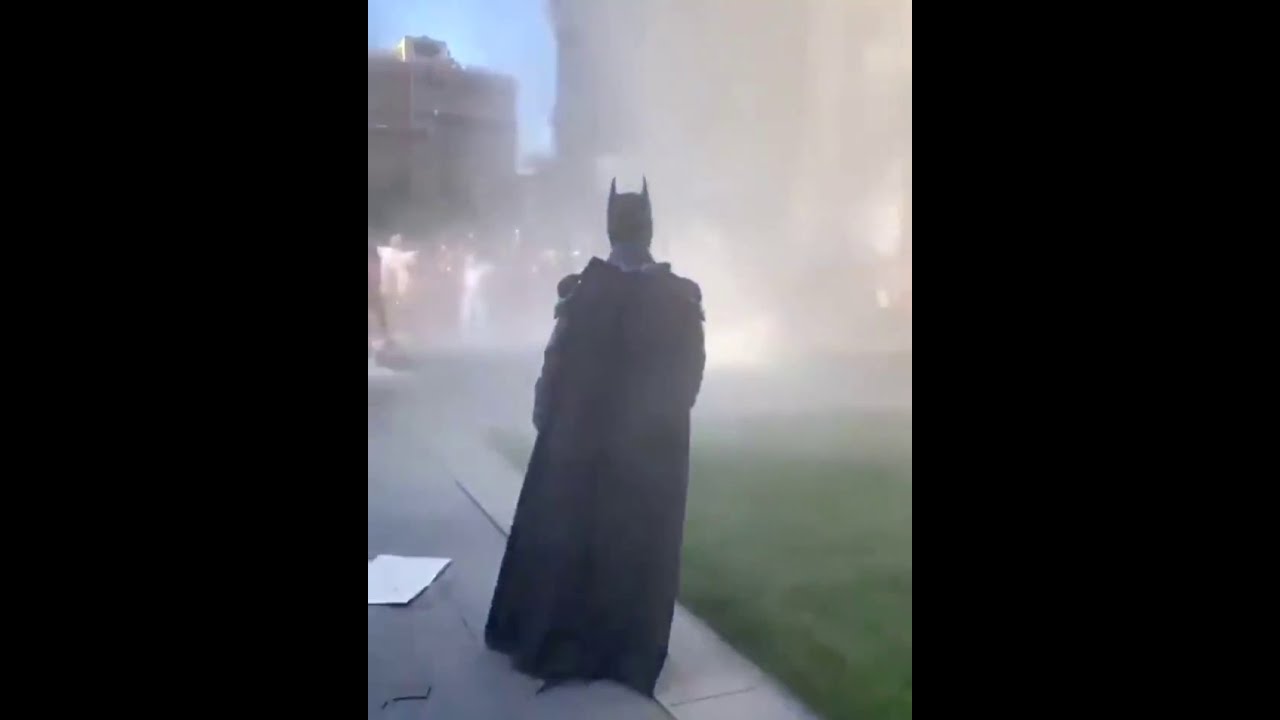 Batman Arrives At Capitol Hill Protests