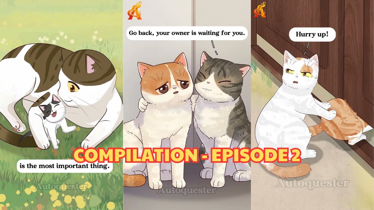 Compilation These Cats Will Melt Your Heart… and Break It Too! - Ep. 2