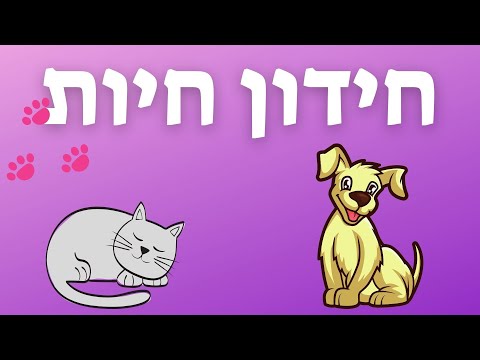 וִידֵאוֹ: מה קורה כשהביקוש הוא חידון אלסטי?