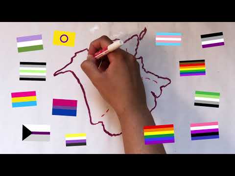 La Clinique 554 (7me année)