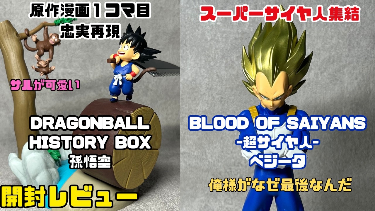 Dragon Ball] BLOOD OF SAIYANS Super Saiyan Vegeta & HISTORY BOX