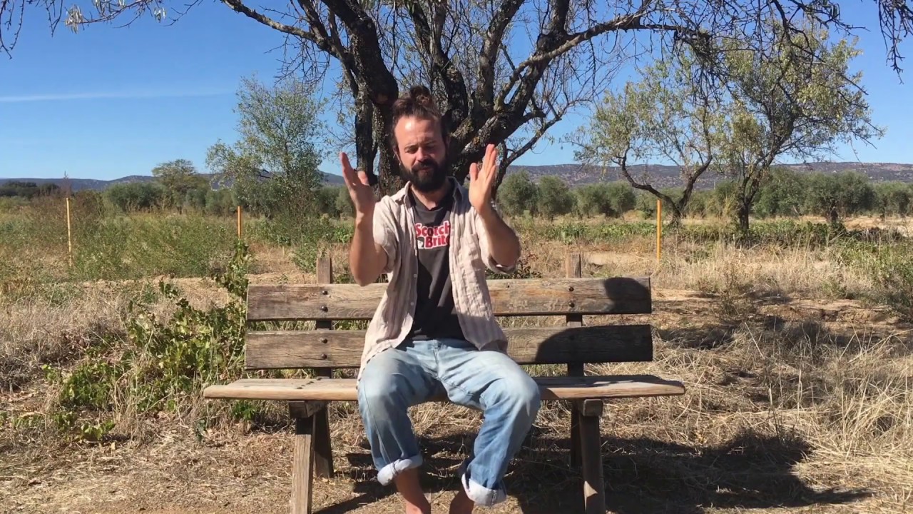 Miguel Hiroshi Teachings_ Compás Flamenco