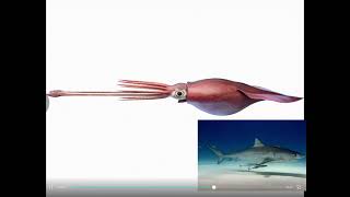 This Kid With Another Cap Or How Ever You Spell It