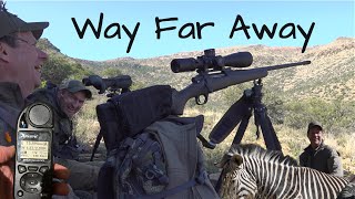 Hartmanns Zebra in the Mountains of the Karoo