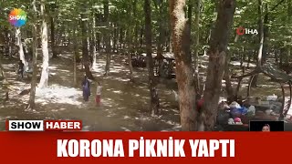 Korona Piknik Yaptı
