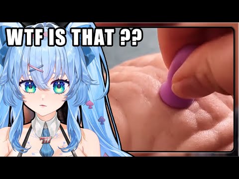 WHO EVEN GETS THESE KINDS OF PETS?! | Mifuyu Reacts to UNUSUAL MEMES COMPILATION V338