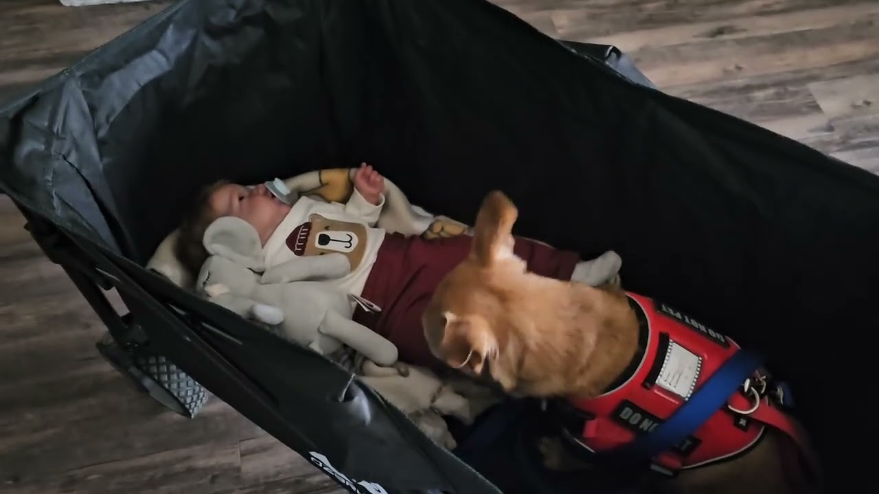 #прогулкасосвоейсредой