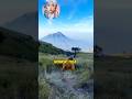 3 gunung paling besar di dunia no 3 ada di Indonesia