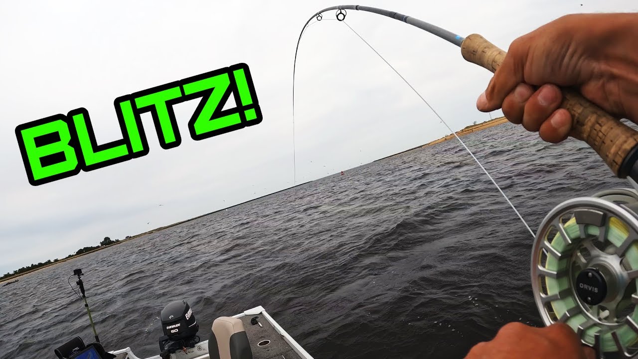 Fly Fishing for Stripers YouTube