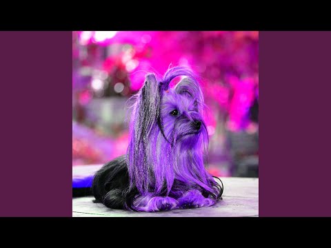 Jazz Guitar Soundtrack