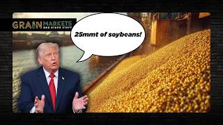 Should We "Believe" the White House? China Starts New Crop US Soybean Purchases