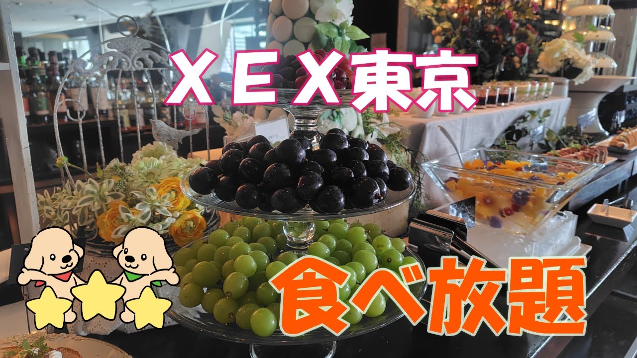 All-You-Can-Eat] Luxurious Lunch at XEX Tokyo, Directly Connected