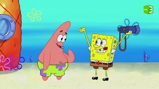 سبونج بوب | كيف تكون صديق جيد؟.. تعلم من سبونج بوب 🥰