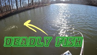 November Power-Plant Fishing at Newton Lake | I ALMOST DIED