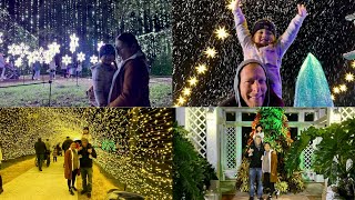 Dazzling Nights Orlando | Harry P. Leu Gardens