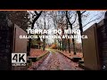 Conduciendo por As Terras do Miño 4k. Galicia Ventana Atlántica