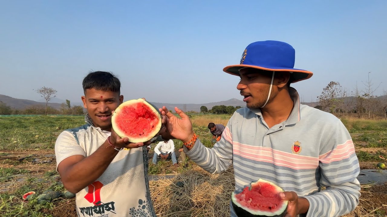 vlog 04 part 01 गावी गेलो कलिंगड खायला ❤️🤩