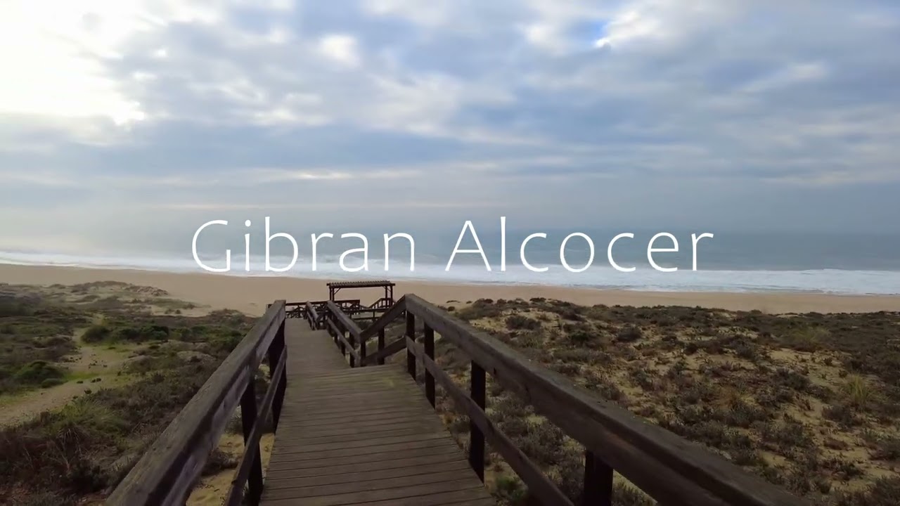 Calm Nature Vibes – Relaxing Music & Peaceful Landscapes Vol. 1 🎶