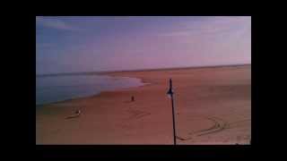 Watch Jason Molina Shore To Shore video