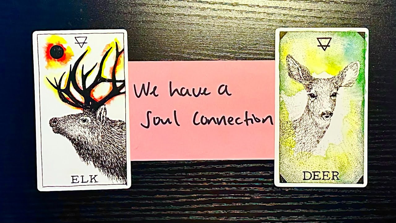 Они дадут вам обещание, которое никогда не возьмут обратно ♾️