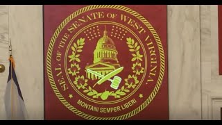 West Virginia senator kicked out of Senate chamber after being ruled out of order
