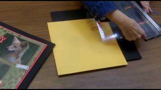 Using Transparencies :: Beginning Scrapbooking by Momenta