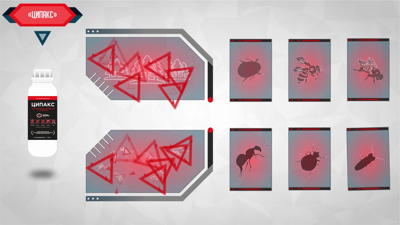 Средство от насекомых - Ципакс улучшенная формула.