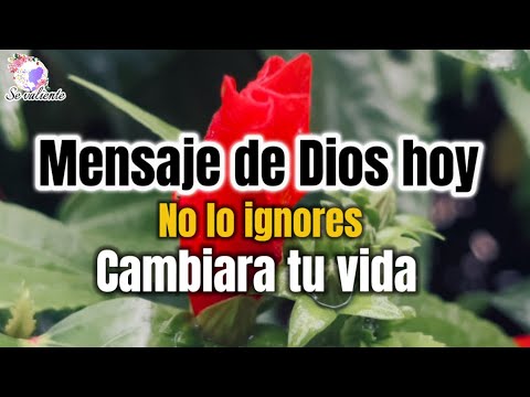 Mensaje de Dios hoy No lo ignores cambiara tu vida - YouTube