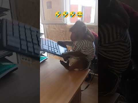работать, опять работать🤣#смешноевидео