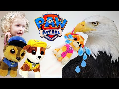 Щенячий патруль | Большая птица похитила Скай - щенки и Бетти выполняют задания