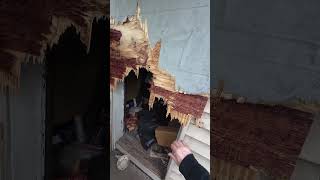 Abandoned Cleveland: 4419 Lester Avenue May 2026 Update. Profile