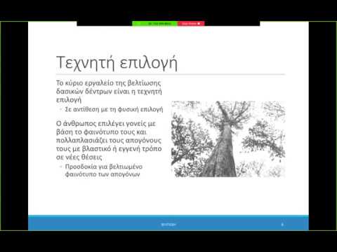 Βίντεο: Ποικιλίες δέντρων ευκαλύπτου - Ποιοι είναι μερικοί συνήθεις τύποι δέντρων ευκαλύπτου