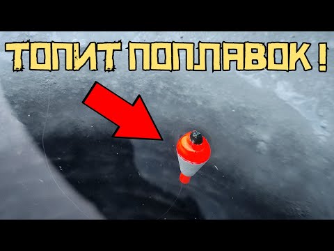 ЭТО КРУПНАЯ РЫБА?! Клюёт на поплавок ЗИМОЙ! Такая рыбалка ВОСХИЩАЕТ!