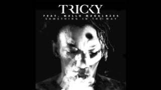 Tricky feat. Mallu Magalhães - Something In The Way [free download]