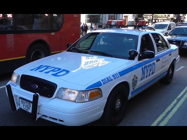 american police cars pictures