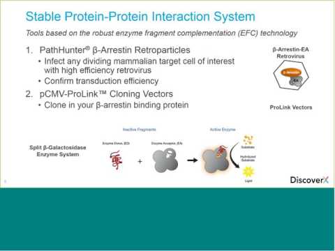 How to Make Your Own Cell-Based Assays to Study β-Arrestin Recruitment