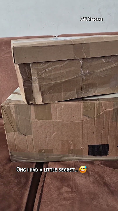 Omg i had a little secret.. #reborn #newbaby #newreborn #babydoll #rebornboxopening #rebornunboxing