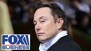 The longer Elon Musk's move to cut USAID takes, the more it hurts America: Expert
