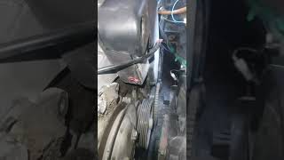 Tri̇ger Kayişi Deği̇şti̇receklere Altin Gi̇bi̇ Bi̇r Bi̇lgi̇