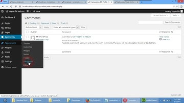 WordPress Admin Panel & Website Division (Urdu/Hindi)