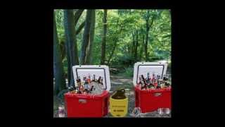 Dave Trezak Performing Pink Alligator From His Native Country Cd