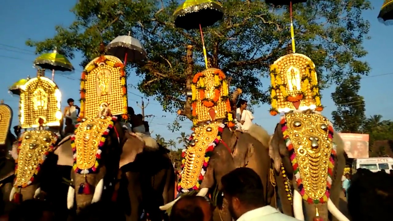 AANA POORAM EDAMUTTAM POOYAM 2015 YouTube