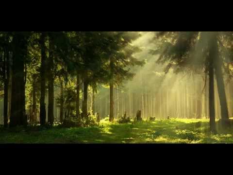 Joachim Witt - Bis ans Ende der Zeit