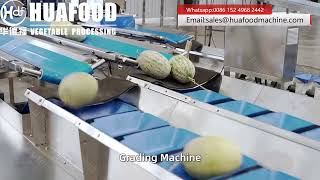 Turnkey Melon Fruits Weight Grading Machine With High Precision