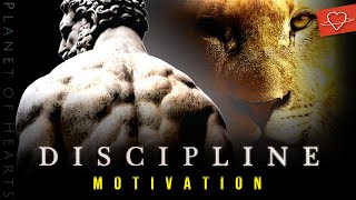 DISCIPLINE MOTIVATION | Philosophy Quotes - Stoicism