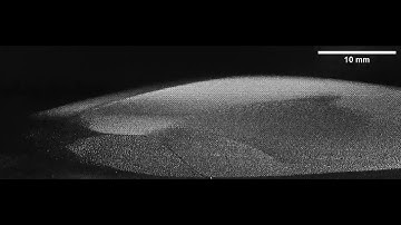 Dust vortex dynamics (Campaign IV) in diffused plasma in SPD-I device.